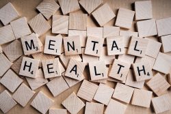 Neuropsychologist Expert