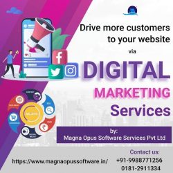 Digital Marketing Services in India