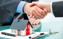 Services Of Real Estate