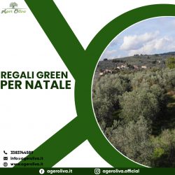 Regali Green per Natale