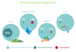 Socially Responsible Investing