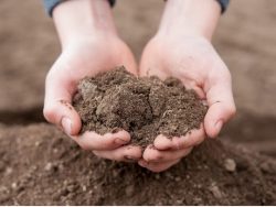 Soil Testing Company in New Jersey