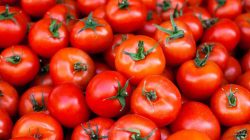 Health Benefits Of Tomatoes