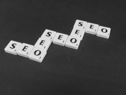 Hire best SEO Expert in Brisbane Online