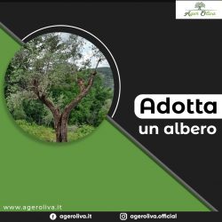 Adotta un Albero