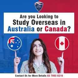 Consultants for Study Visa in Chandigarh