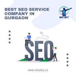 Best SEO Service Company in Gurgaon – Why Shy