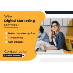 Digital Marketing classes in Panchkula