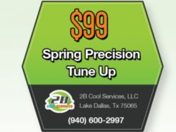 $99 Spring Precision Tune Up