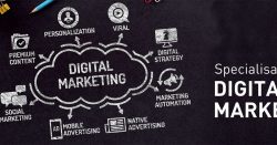 Learn How Market Affects Your Business