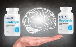 How can Gro-X Brain improve brain functions?