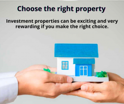 Real Estate Consultant