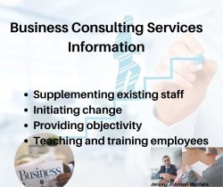 Successful Business Consultant