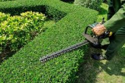 Lawn Mowing Gladstone Park