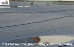 Best Flat Roof Specialist Near Me