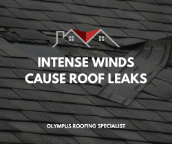 Intense Winds Cause Roof Leaks