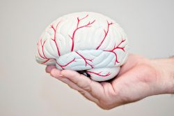 shares 7 Stages To Manage Alzheimer’s Behaviors