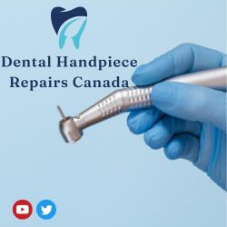 Endodontic Handpiece Repair at Hayes Canada