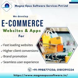 Ecommerce Website and App Development