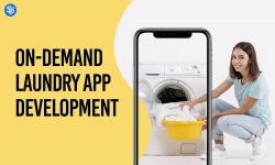 On-Demand Laundry App Development Cost