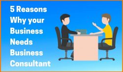 Business Consultant Services