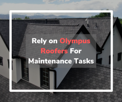 Rely on Olympus Roofers For Maintenance Tasks