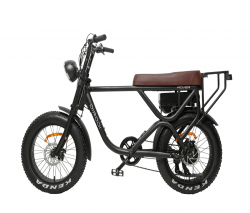 Ladies Electric Bike