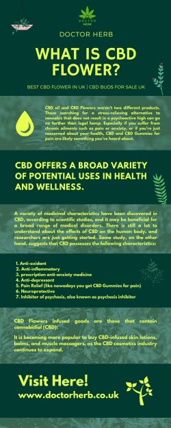 Buy CBD Flowers In UK – Doctorherb.co.uk