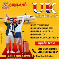 UK Visitor Visa – Single / Couple / Family