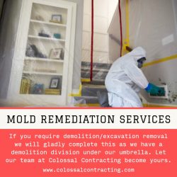 Mold Remediation Services