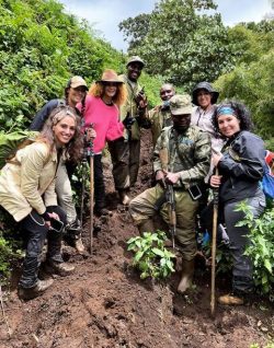 Gorilla trekking in Volcanoes National Park