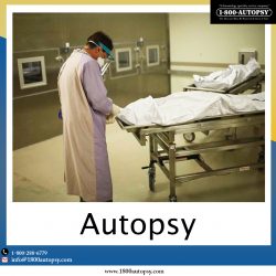 Autopsy