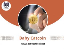 Baby Catcoin is an Entirely New Concept in Cryptocurrencies