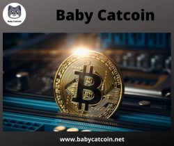 Baby Catcoin is the Latest in Crypto Technology