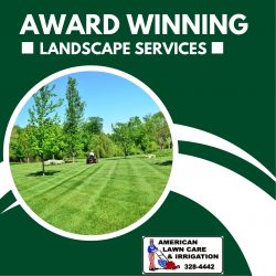 Best Garden Renovations Service