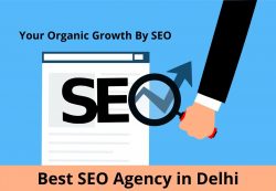 Best SEO Agency in Delhi