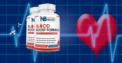 Blood Boost Formula Review- How Does It Maintain Blood Sugar?