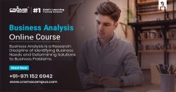 Business Analysis Training Institute in Delhi