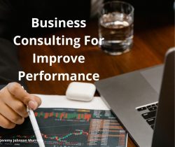 Business Consulting Services