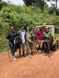 Gorilla trekking in Bwindi National park Uganda