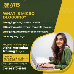 Digital Marketing institute in Panchkula