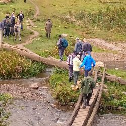 Gorilla trekking Safari in Uganda