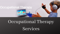 Famous Occupational Therapy Services In South Africa