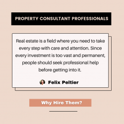 Felix Peltier – Why You Should Hire a Property Consultant?