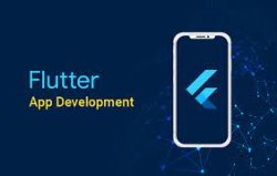 flutter web development