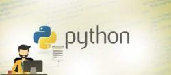 Hire The Best python programmers