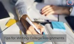 Find Assignment Helper Online