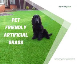 Pet Friendly Artificial Grass