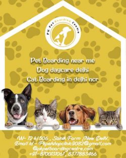 Pet Boarding near me | Dog daycare Delhi | Cat Boarding in Delhi NCR