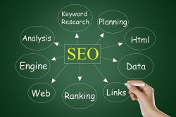 Professional SEO Experts in Michigan